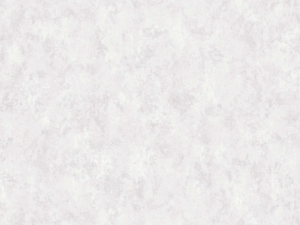 Wallpaper: Natural – Natural Paint  (88429-1)