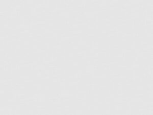 Wallpaper: Veluce – Tricut  (88469-1)