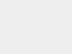 Wallpaper: Martin - (K0006-2)