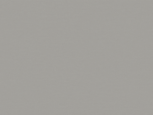 Wallpaper: Fav - (K0007-5)