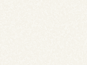 Wallpaper: Matisse - (2020-3)