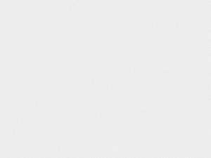 Wallpaper: Martin – (K0006-2)