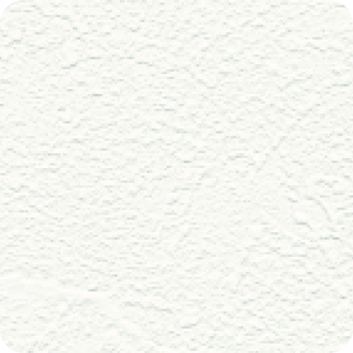 Wallpaper: Wild Touch - (K0019-1)